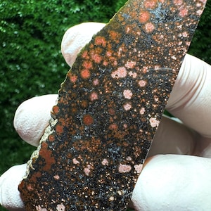 Puede incluir: Una losa de piedra rectangular con una superficie oscura y moteada, con patrones circulares de color marrón rojizo y blanco. Los bordes son ásperos e irregulares, con una mezcla de colores oscuros y claros. La piedra está sujeta por una mano enguantada.