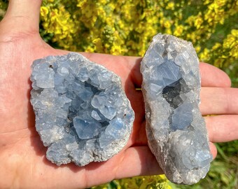 May include: Two raw celestite crystal clusters featuring pale blue, translucent, geometric crystal formations embedded within a rough, light gray, rocky matrix. The specimens display jagged, multifaceted surfaces with varying shades of blue.