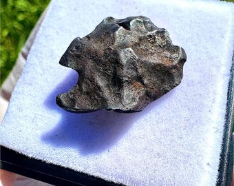 173.5 グラムのシホテアリン隕石 - 鉄、IIAB - 1947 年にロシアに落下