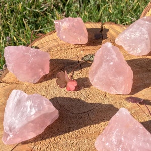 Può includere: Diversi cristalli di quarzo rosa grezzi, di varie dimensioni, sono disposti su una superficie di legno. I cristalli mostrano una tonalità rosa tenue, con texture naturali e forme irregolari. Il legno ha un tono marrone caldo, illuminato dalla luce naturale.