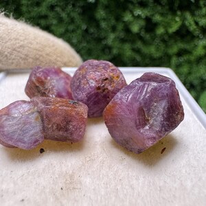 Könnte beinhalten: Eine Sammlung roher Rubin-Edelsteine in verschiedenen Formen und Größen. Die Steine zeigen einen tiefen rot-violetten Farbton mit natürlichen Texturen und Facetten. Sie sind auf einer weißen Oberfläche angeordnet, mit einem verschwommenen grünen Hintergrund.