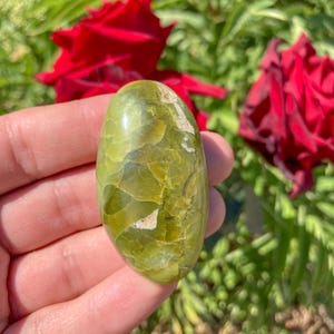 Puede incluir: Piedra preciosa de ópalo verde con una superficie lisa y pulida y un patrón único y arremolinado. La piedra es de color verde claro con vetas verde oscuro e inclusiones blancas.