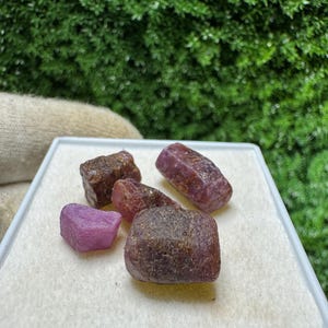 May include: A collection of raw ruby gemstones in various shapes and sizes, displayed on a white surface. The rubies range in color from deep red to purplish-pink, with rough, natural textures. The background features green foliage.