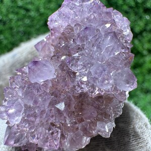 Peut inclure: Gros plan sur un amas de cristaux d'améthyste, présentant diverses nuances de violet. Les cristaux sont pointus et densément regroupés, formant une structure naturelle texturée. L'arrière-plan est un vert flou.