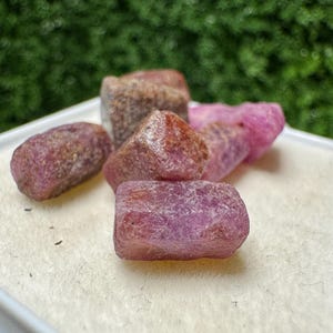 Può includere: Una collezione di gemme di rubino grezze e non tagliate. Le pietre variano per dimensioni e forma, mostrando sfumature di rosa e rosso. Alcune hanno una superficie ruvida e strutturata, mentre altre appaiono più lisce. Le gemme sono esposte su una superficie chiara.