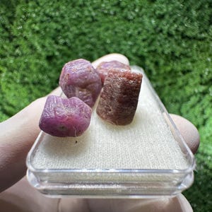 Könnte beinhalten: Vier rohe Rubin-Edelsteine in einer transparenten Kunststoffbox. Die Rubine haben eine tiefrote bis violette Farbe und unregelmäßige Formen. Der Hintergrund ist ein verschwommenes Grün.