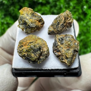 May include: Four rough, irregularly shaped gemstones with a mix of olive green and golden-brown hues. The stones are displayed on a white surface within a black tray, set against a blurred green background. The gemstones appear to be natural mineral specimens.