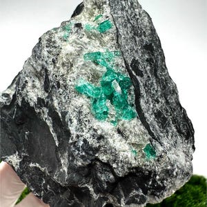 Può includere: Una formazione rocciosa grigio scuro con vibranti cristalli di smeraldo verde incorporati. Gli smeraldi sono raggruppati al centro, in contrasto con la matrice scura. La roccia ha una consistenza ruvida e naturale.