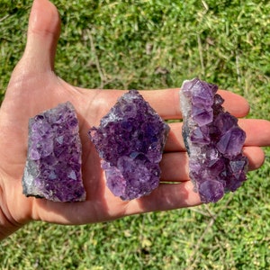 Puede incluir: Tres racimos de cristales de amatista en bruto, que muestran tonos morados profundos y estructuras cristalinas intrincadas. Los cristales se sostienen en una mano sobre un fondo de hierba verde, resaltando su belleza natural y textura.