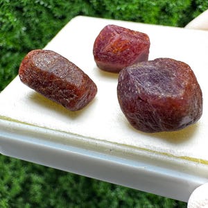 Puede incluir: Tres piedras preciosas de rubí en bruto sin cortar. Los rubíes son de un color rojo-púrpura intenso con una superficie texturizada. Se exhiben sobre una superficie blanca, con un fondo de follaje verde. Las piedras preciosas varían en forma y tamaño.