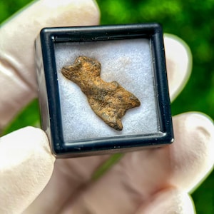 May include: A small, irregularly shaped, brown and black artifact encased in a black display box. The artifact has a rough, textured surface and appears to be made of metal. The background is blurred green.