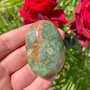 May include: A polished, oval-shaped stone with a mottled green and brown pattern. The stone is held in a hand, with red roses and green foliage in the background. The stone's surface has a natural, earthy appearance.