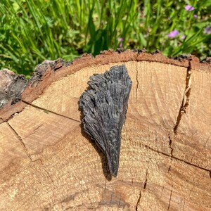 Pu&ograve; includere: Una formazione rocciosa di colore grigio scuro a forma di ventaglio su una superficie di legno. La roccia ha una superficie ruvida e testurizzata e sembra essere composta da molti piccoli cristalli appuntiti.