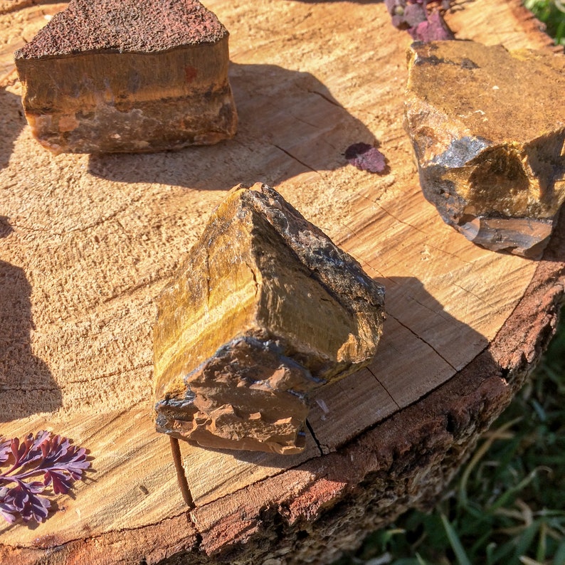 May include: Four tiger's eye crystals on a wooden surface. The crystals are various shades of brown, gold, and black.
