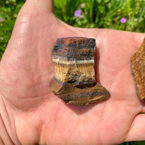 May include: A raw, rough-cut piece of tiger's eye gemstone with brown, gold, and red banding. The stone has a natural, irregular shape.