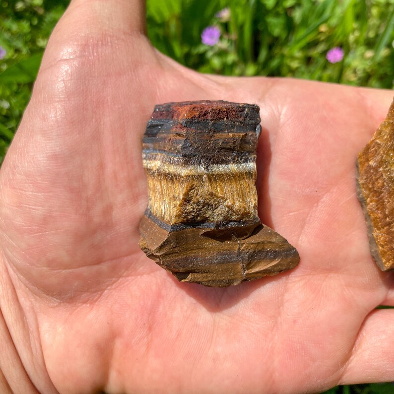 May include: A raw, rough-cut piece of tiger's eye gemstone with brown, gold, and red banding. The stone has a natural, irregular shape.