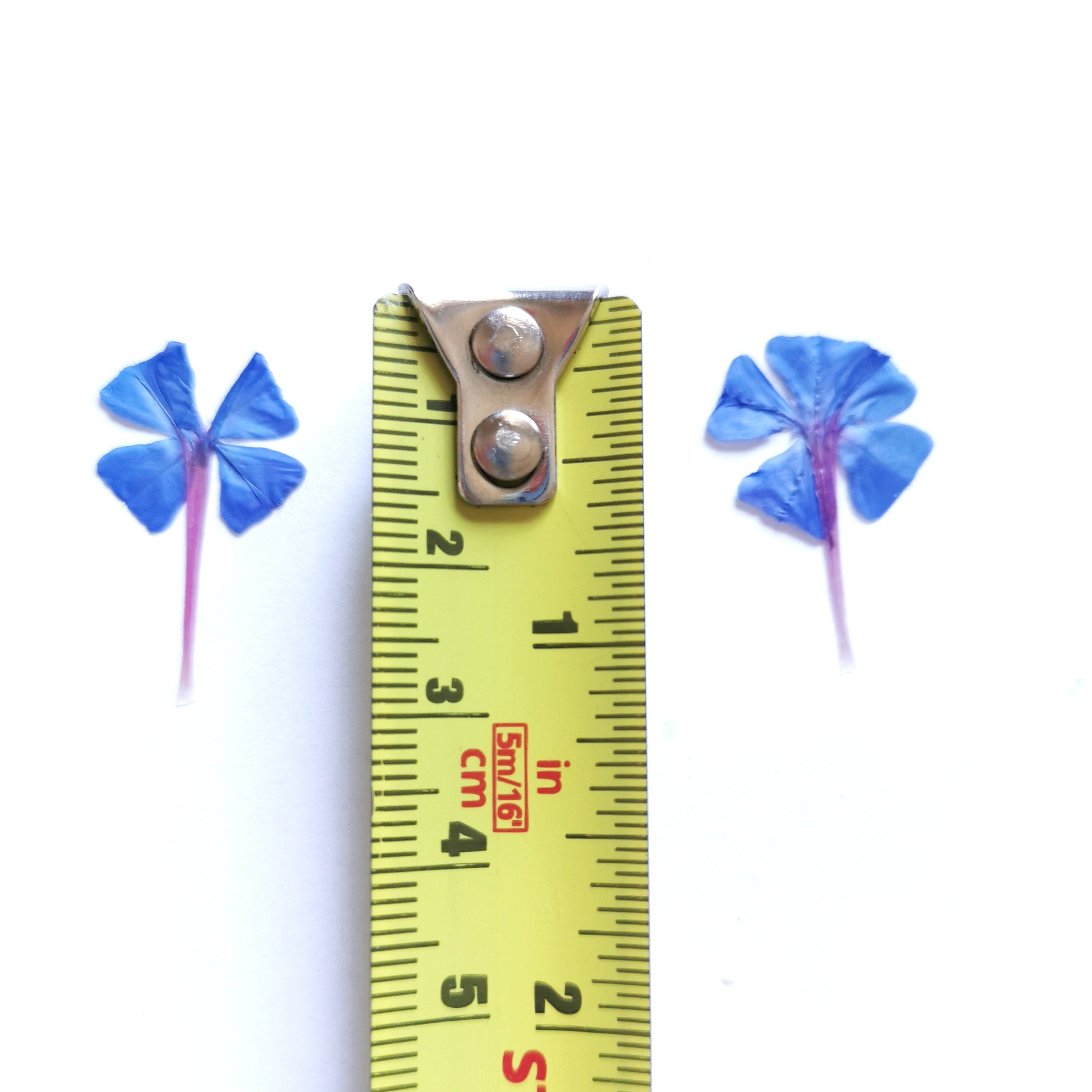 Blue Dried Flowers for Resin Set of 25 Vibrant Dry Flowers for Etsy