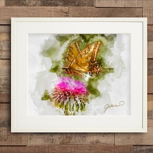 Watercolor Butterfly on Thistle Fine Art Print