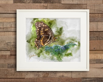 Watercolor Butterfly on Flower Fine Art Print