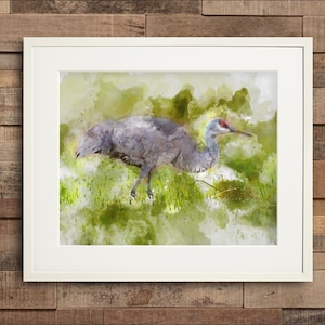 Watercolor Sandhill Crane Fine Art or Canvas Print