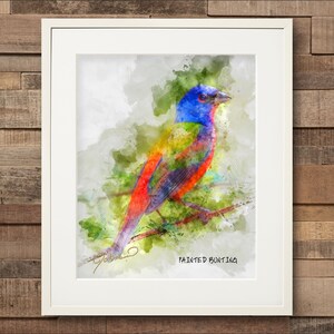 Watercolor Painted Bunting Fine Art Print