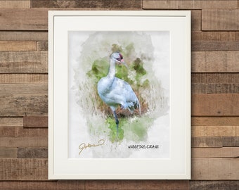 Watercolor Whooping Crane Fine Art Print