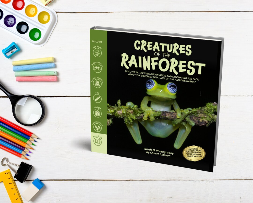 Amazing Creatures of the Rainforest Rainforest Picture Book Etsy