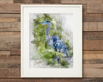 Watercolor Great Blue Heron Fine Art Print