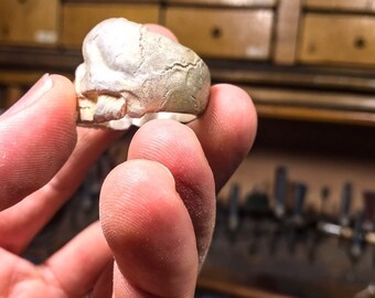 May include: A silver-colored ring in the shape of a skull. The ring has a detailed design with visible cracks and textures. The skull's jaw and teeth are clearly defined. The ring is held between fingers, showcasing its size and craftsmanship.