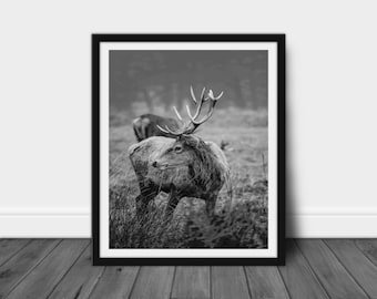 Black and White Deer Print Nature Wall Decor Animal Printable Deer Art Digital Download