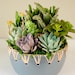 see more listings in the medium arrangement 5"-7" section