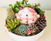 Pink Lucky Cat Live Succulent Arrangement in Ceramic White Planter, Thank you Gift, Birthday gift,Mother s Day gift,Gift for her, Pink Cat