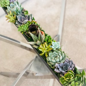 32&quot; Live Succulent Arrangement: Stainless Steel Planter Centerpiece