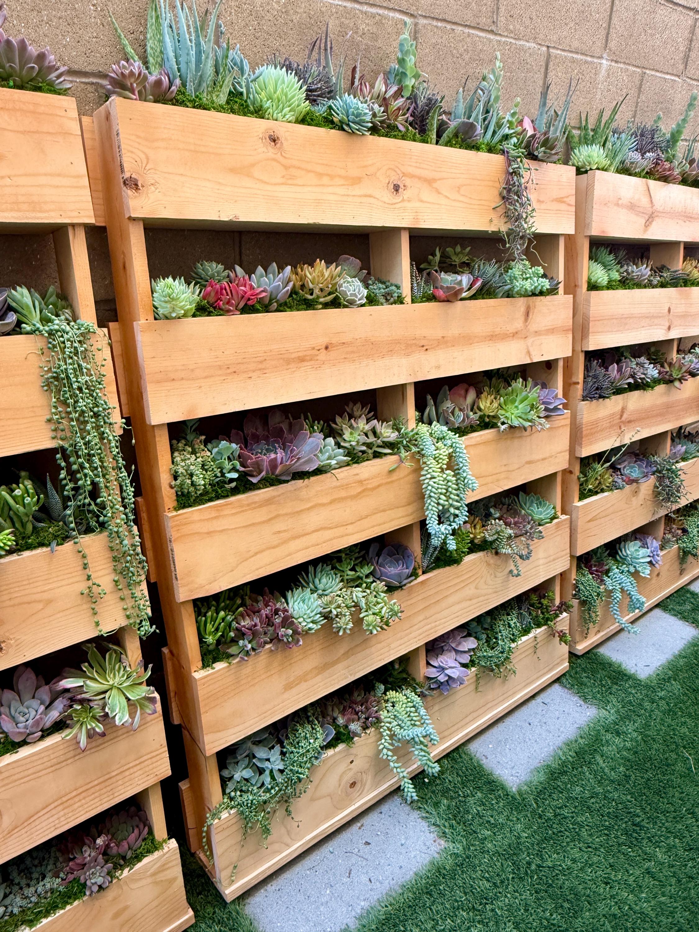 succulent bathroom decor Succulent Beauty (Green)  Green Succulent Wall Art for Modern Interiors