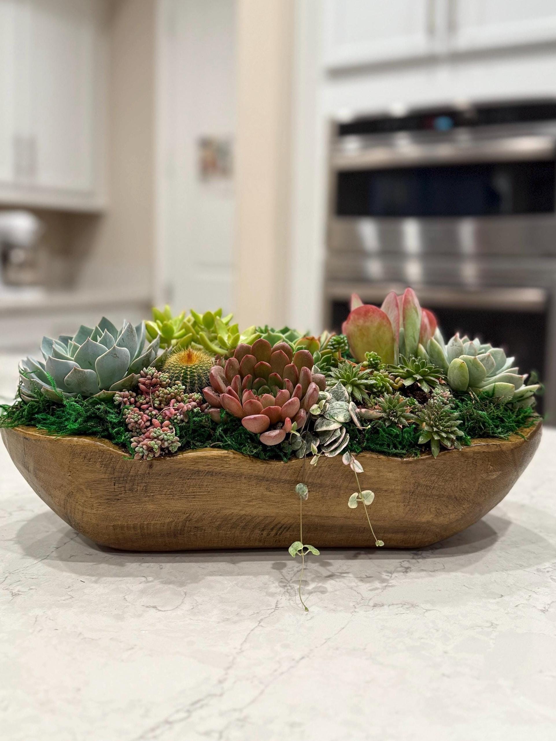 Mom's Favorite Wood Dough Bowl Succulent Planter: Tabletop Centerpiece,  Housewarming Gift, Mother's Day Gift - Etsy