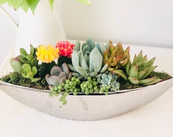 Silver Noah’s ark: 14” live succulent arrangement centerpiece in silver boat planter, housewarming gift, apartment decor