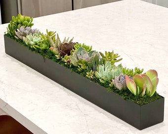 Rectangle long metal planter filled with colorful LIVE succulent arrangement (white,black,silver),16" or 32", party tabletop centerpiece