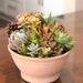 see more listings in the large arrangement >7" section