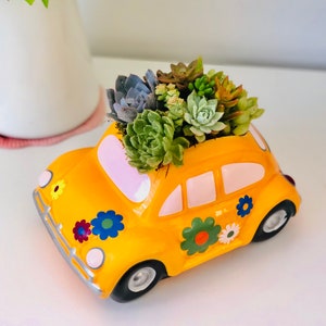 Live Succulent Arrangement in Love Car planter, Housewarming, Christmas gift, lovely live succulent gift in car