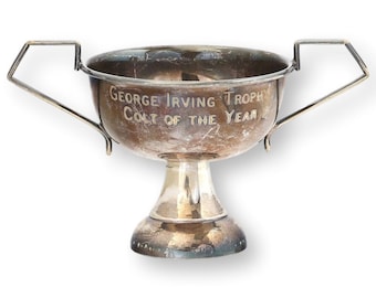 May include: A silver-toned metal trophy cup featuring two angular handles and a pedestal base. The front of the bowl is engraved with the text "George Irving Trophy" and "Colt of the Year" in capital letters, showing signs of tarnish and wear.