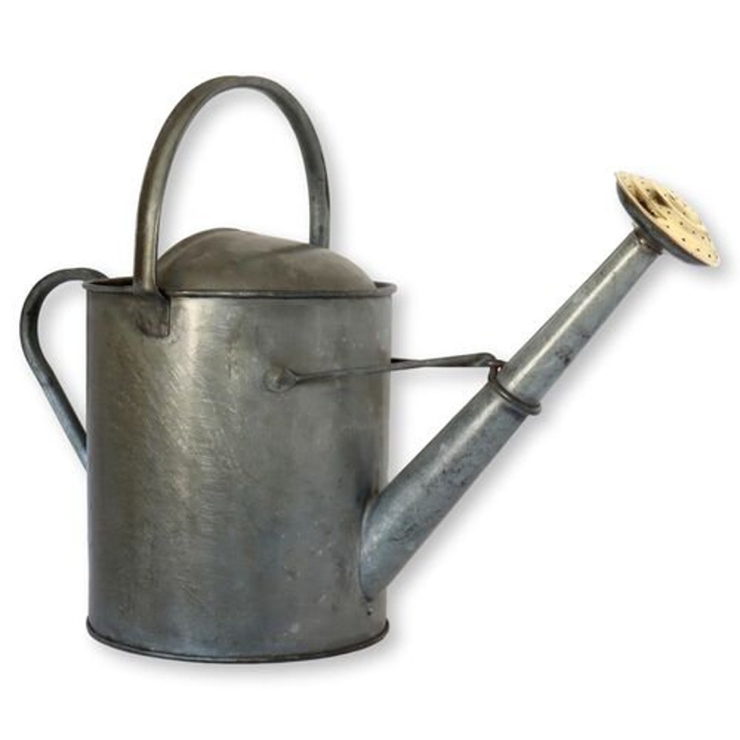 English Watering Can W/brass Rose - Etsy
