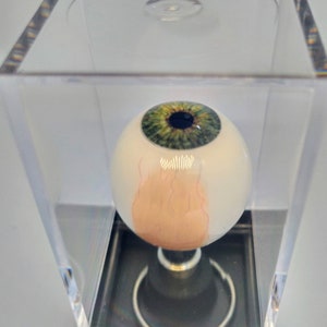 Realistic Handmade in the USA , Human Eye KEYCHAIN with Vessels