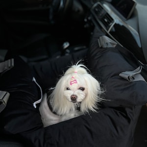 Dog Car Seat 3 in 1 Comfy Black