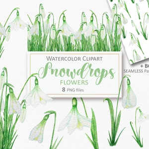 Aquarelle fleurs blanches printanières clipart, fichiers PNG de fleurs de perce-neige Clip art, cartes de mariage verdure, papier numérique de Pâques téléchargement immédiat