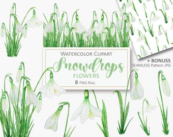 Watercolor Snowdrops Clipart: Spring Flower PNG Files (Digital Download)