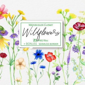Watercolor Wildflowers clipart, Floral borders Summer Meadow Wild flower clip art Sublimation design PNG Digital instant download 98
