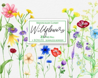 Aquarelle fleurs sauvages clipart, bordures florales Summer Meadow fleurs sauvages clip art Sublimation design PNG numérique Téléchargement instantané 98