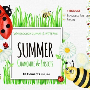 Insetti, erba e camomilla acquerelli estivi - coccinella ape, cornice di fiori estivi - clipart e modello senza soluzione di continuità Download digitale istantaneo