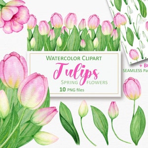 Watercolor Tulip clipart PNG, Spring pink tulips flowers clip art, Easter floral border, bouquet, Scrapbook Digital paper INSTANT Download