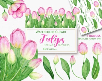 Watercolor Tulip Clipart: Spring Floral PNG, Easter Bouquet (Digital Download)